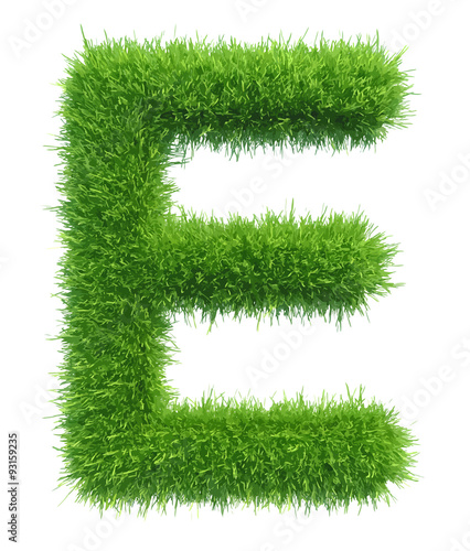 Vector capital letter E from grass on white background