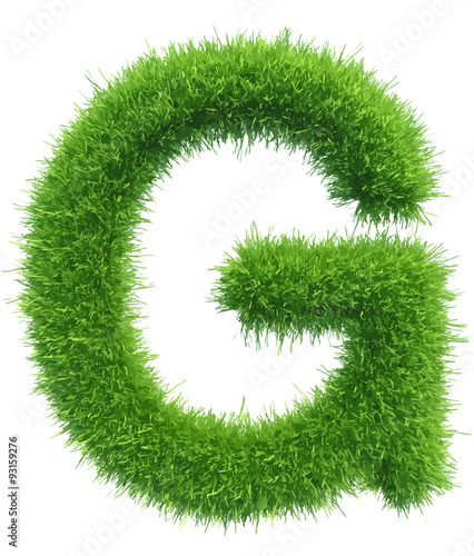 Vector capital letter G from grass on white background