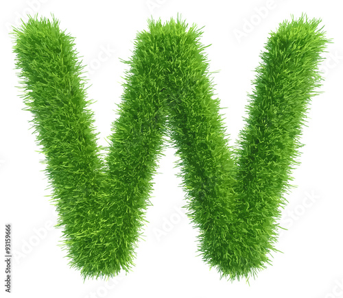 Vector capital letter W from grass on white background