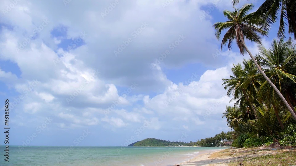 Tropical Beach with Coconut Palm Trees, Blue Sky and Sea Tropical Beach with Coconut Palm Trees, Blue Sky and Sea