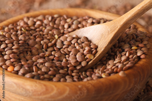 Raw brown lentils in a bowl macro. horizontal 