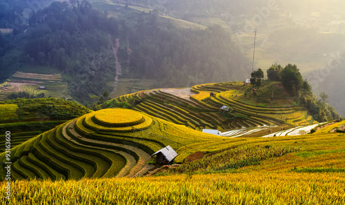 Rice fields on terraced of Mu Cang Chai   Vietnam.