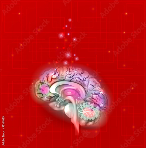 Human brain abstract light blue background