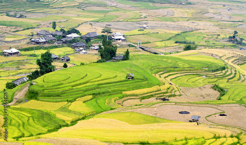 Rice fields on terraced of Mu Cang Chai   Vietnam.