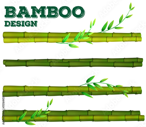 Different bamboo design with stem and leaves