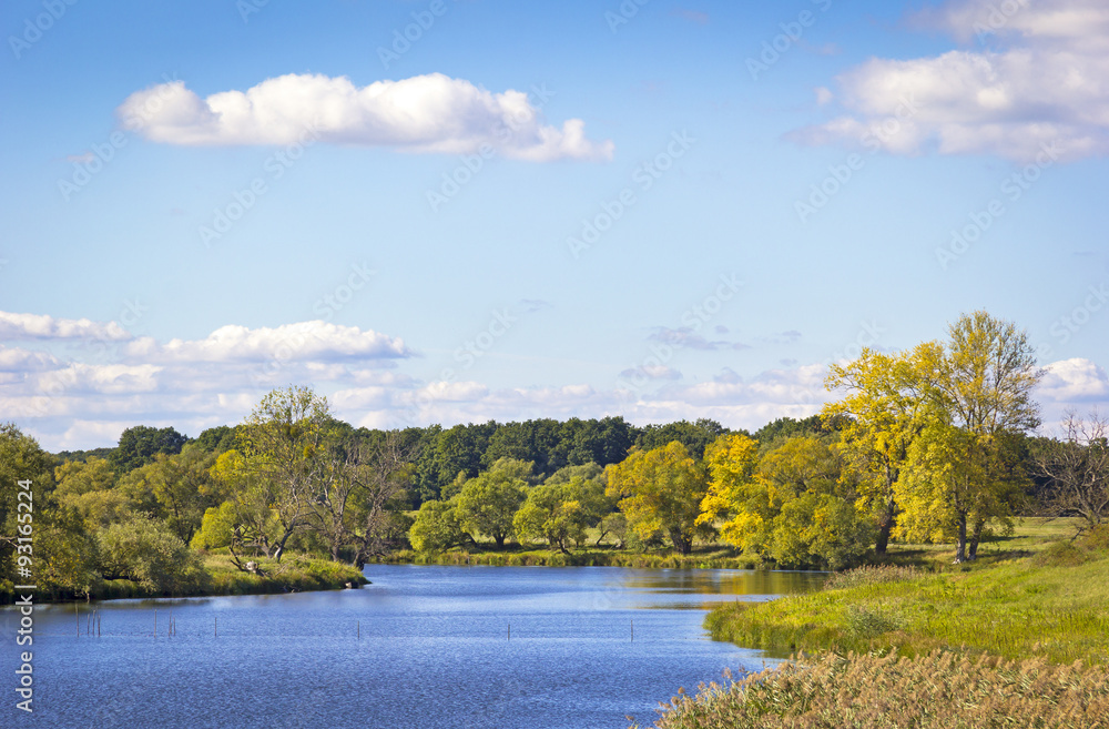 Landscape in Autumn