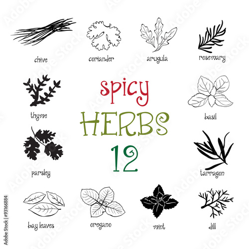 Web icon set of different spicy herbs