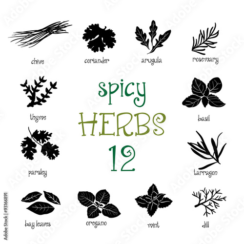 Web icon set of different spicy herbs