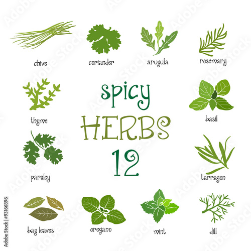 Web icon set of different spicy herbs
