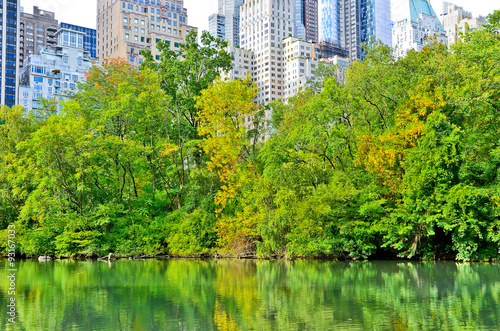 View of Central Park in New York City in autumn © Javen