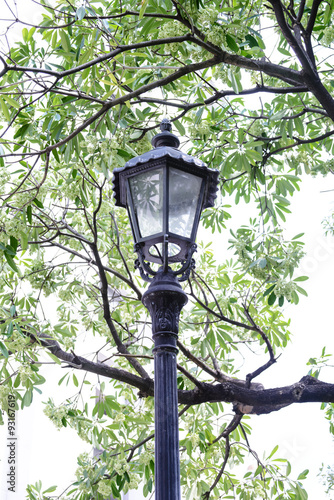 Close up Lamp in garden