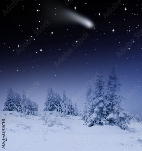Verschneite Tannenbäume mit Sternschnuppe
