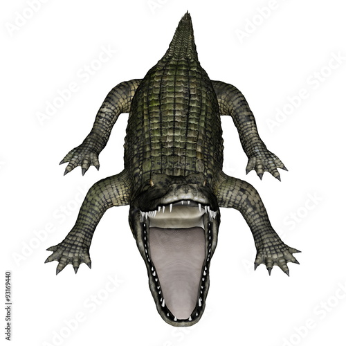 Caiman roaring - 3D render