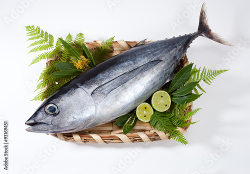 Tableau sur toile Albacore fish (Tunnus Alalunga)