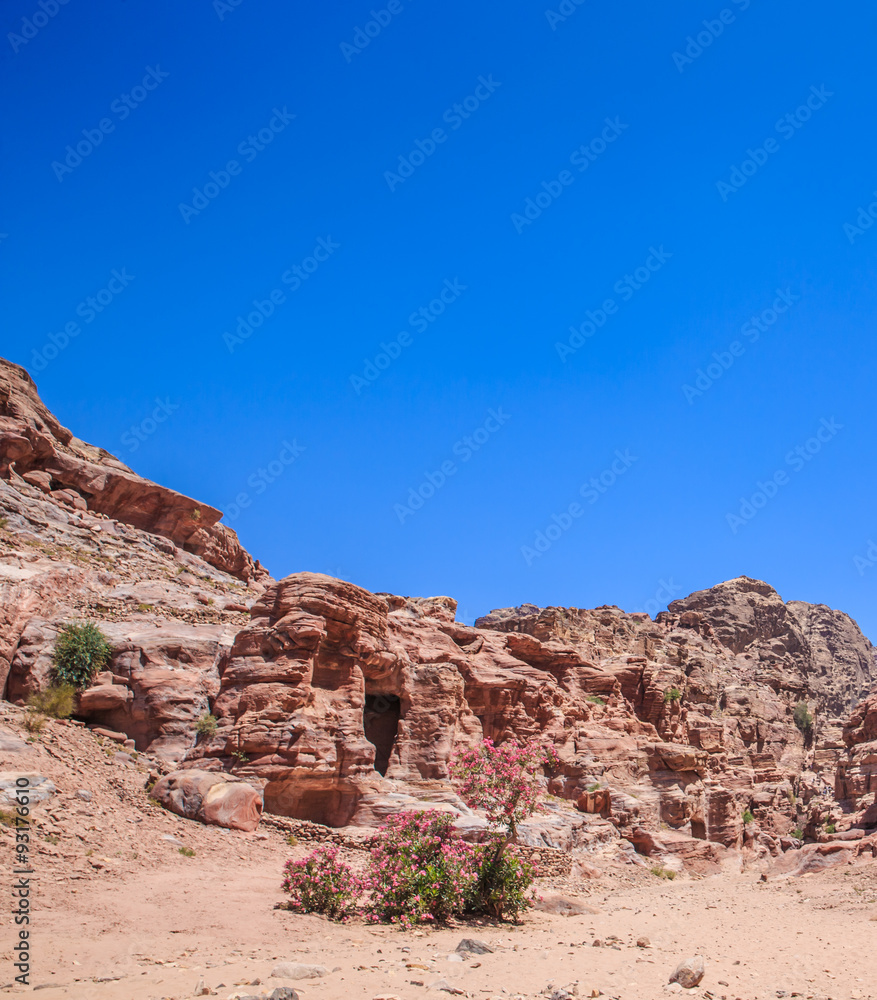 Petra Petra