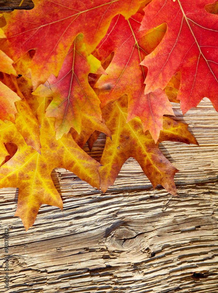 Autumn leaves on a wooden table. Background style Autumn leaves on a wooden table. Background style