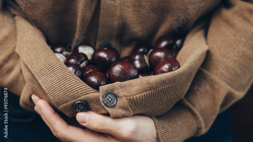 Armful of chestnuts. Vintage style.