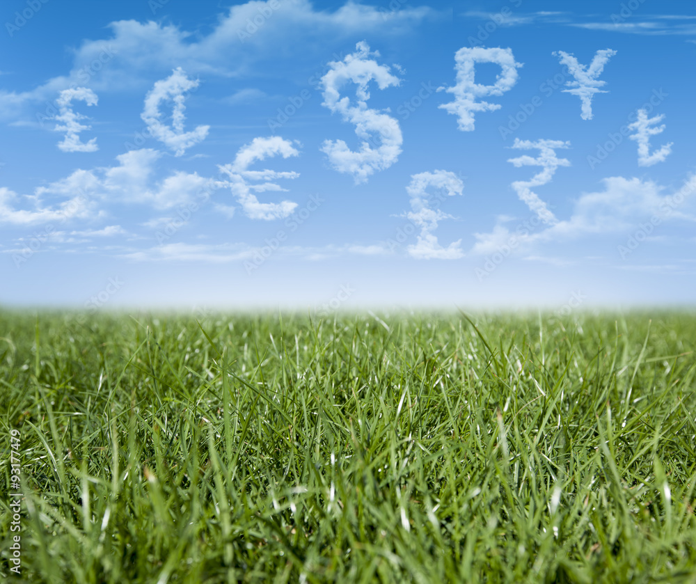 Fototapeta premium World currency units shaped clouds on green grass