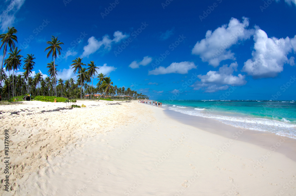  beach and tropical sea