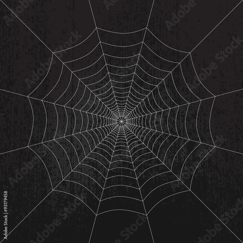 Spider web