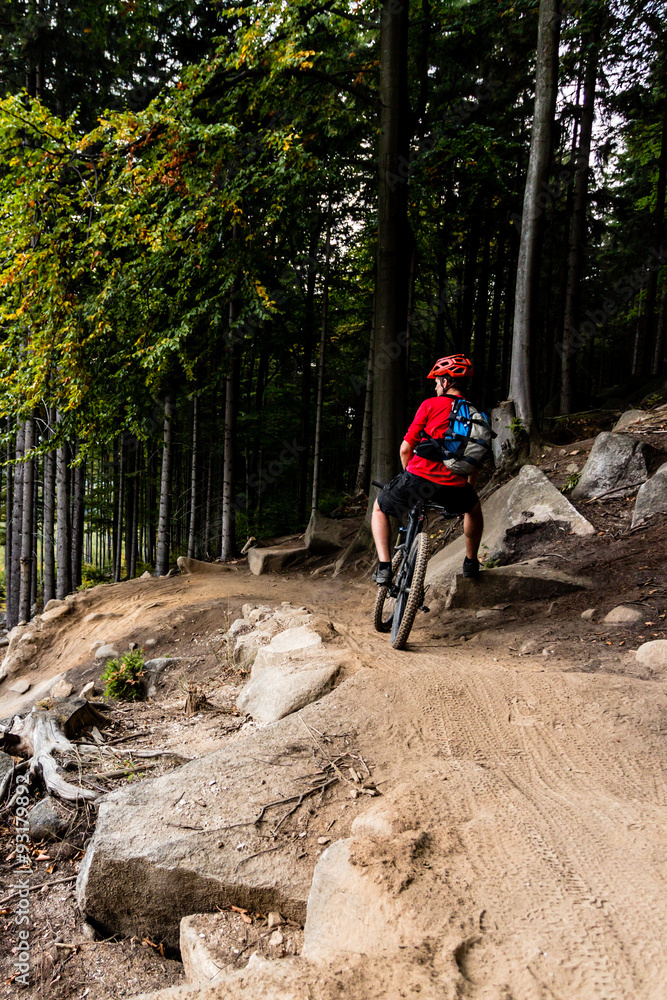 Mountain biker riding cycling in autumn forest