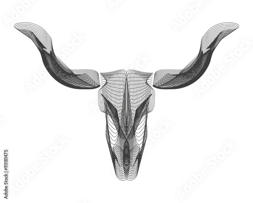 3D Büffel Rentier Stier | technisch | wireframe