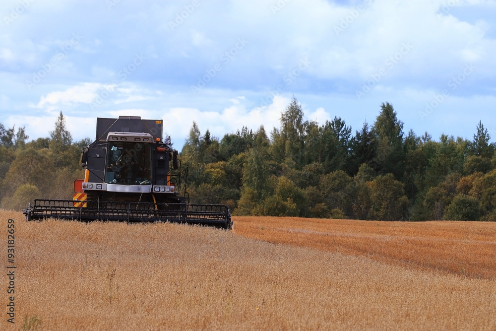 Fototapeta premium tractor in a field to harvest