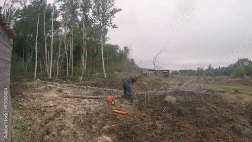 Wallpaper Mural Canadian Lumberjack cuts up tree with chainsaw Torontodigital.ca