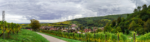 Beautiful colorized autumn hills in Alsace  panoramic view