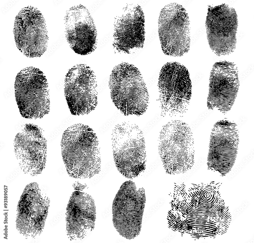 Set of fingerprints, vector illustration isolated on white Set of fingerprints, vector illustration isolated on white