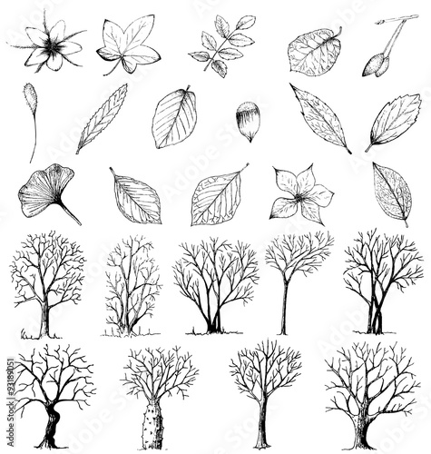 Set of hand drawn plants and trees isolated on white