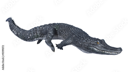 Caiman