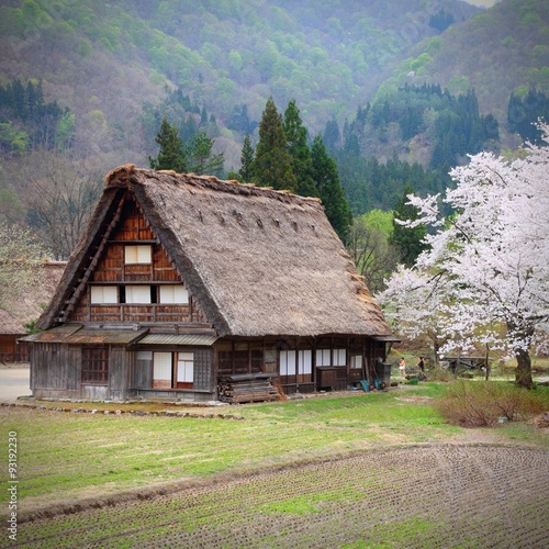 Shirakawa village in Japan