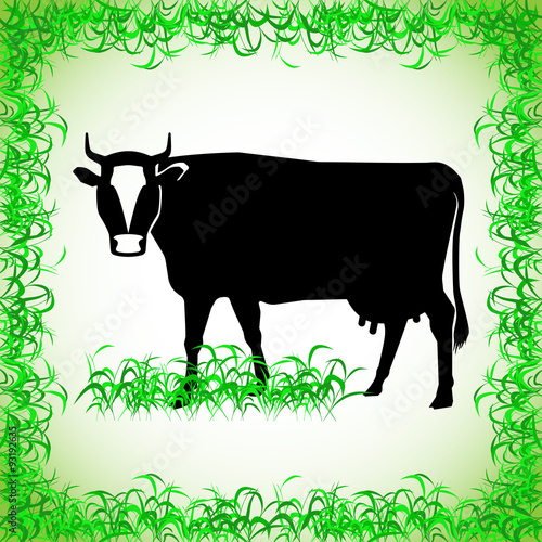 cow. realistic image of the contour object