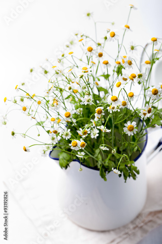 Bunch of camomile,chamomile, daisy flowers