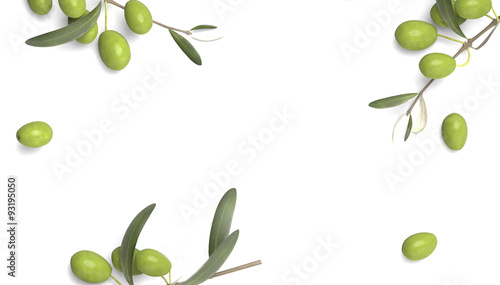 olive branch with drop of oil white background
