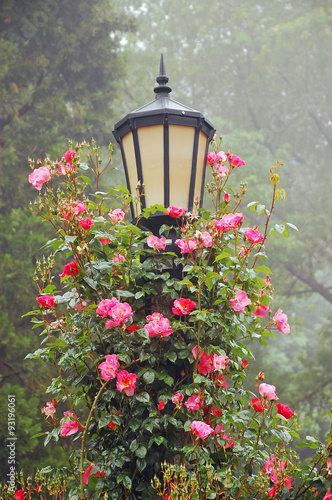 Rose covered lamppost