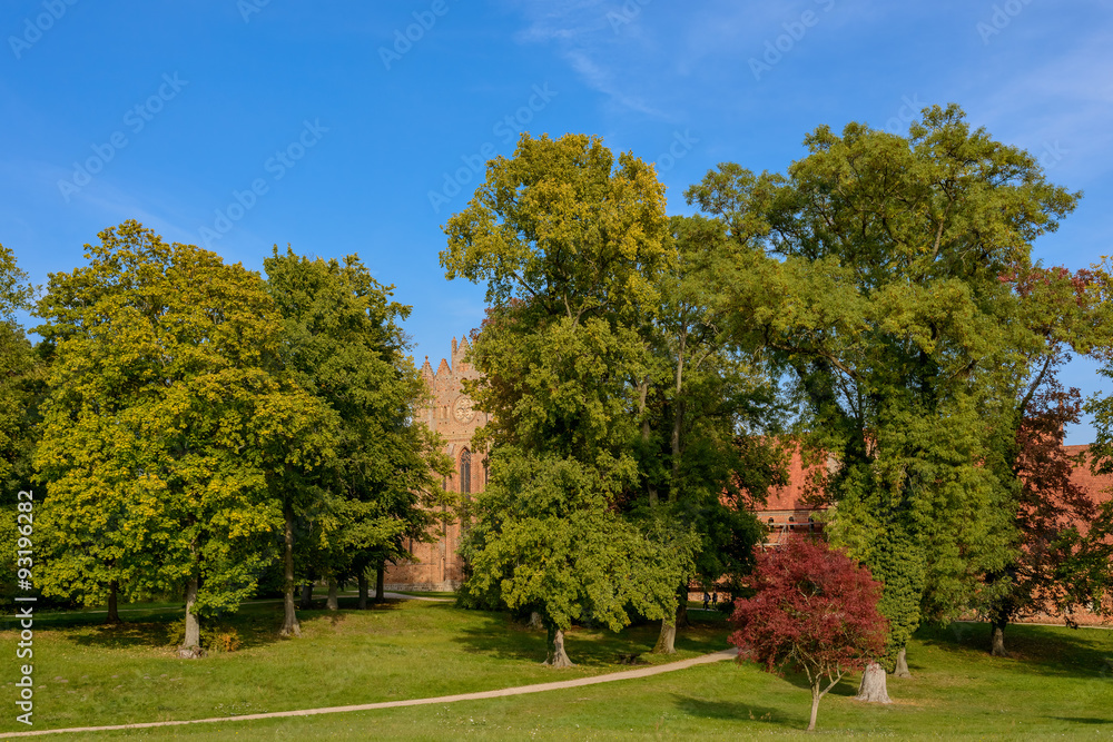 Naklejka premium Alte Bäume im Park des Klosters Chorin