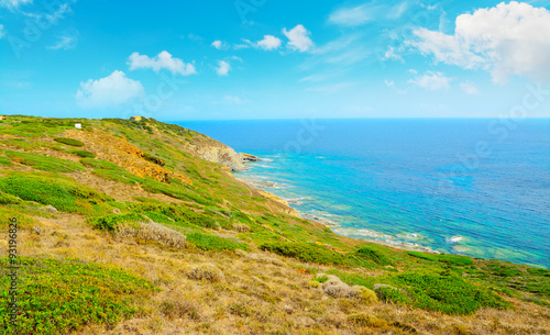 green coastline in Sardinia