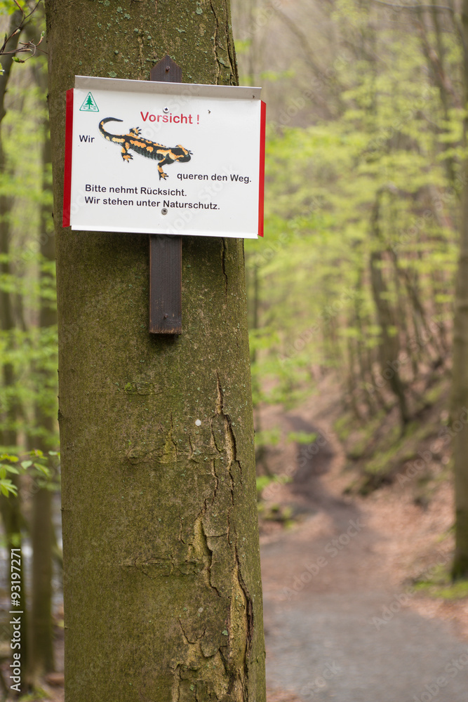 Hinweisschild: Vorsicht! Feuersalamander queren den Weg!, Bodetal, Landkreis Harz, Ostharz, Sachsen-Anhalt, Deutschland