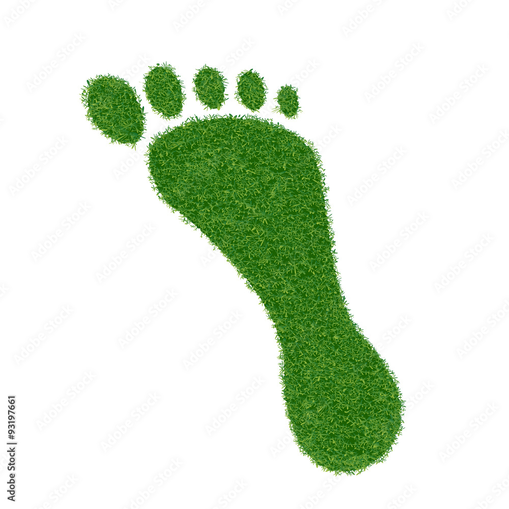 Footprint of grass. Footprint of grass.