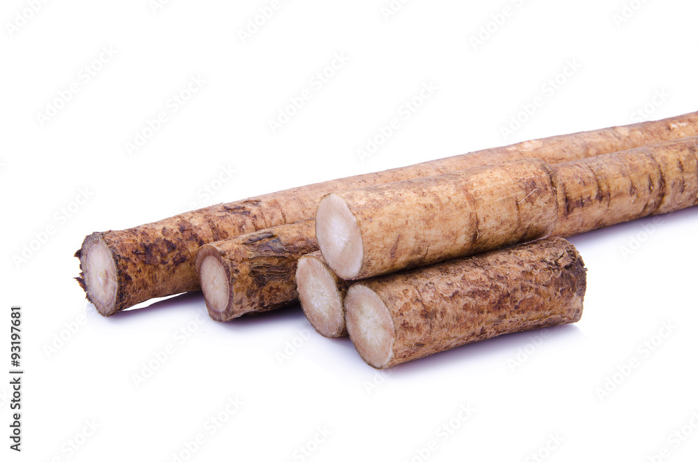 Fresh Burdock roots on white background Fresh Burdock roots on white background