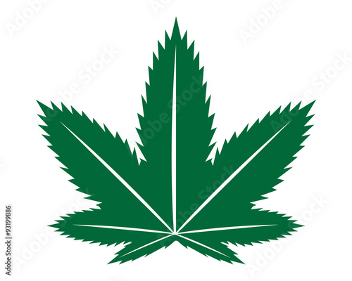 marijuana leaf