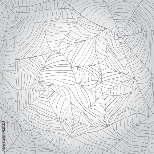 Grey spider's web background