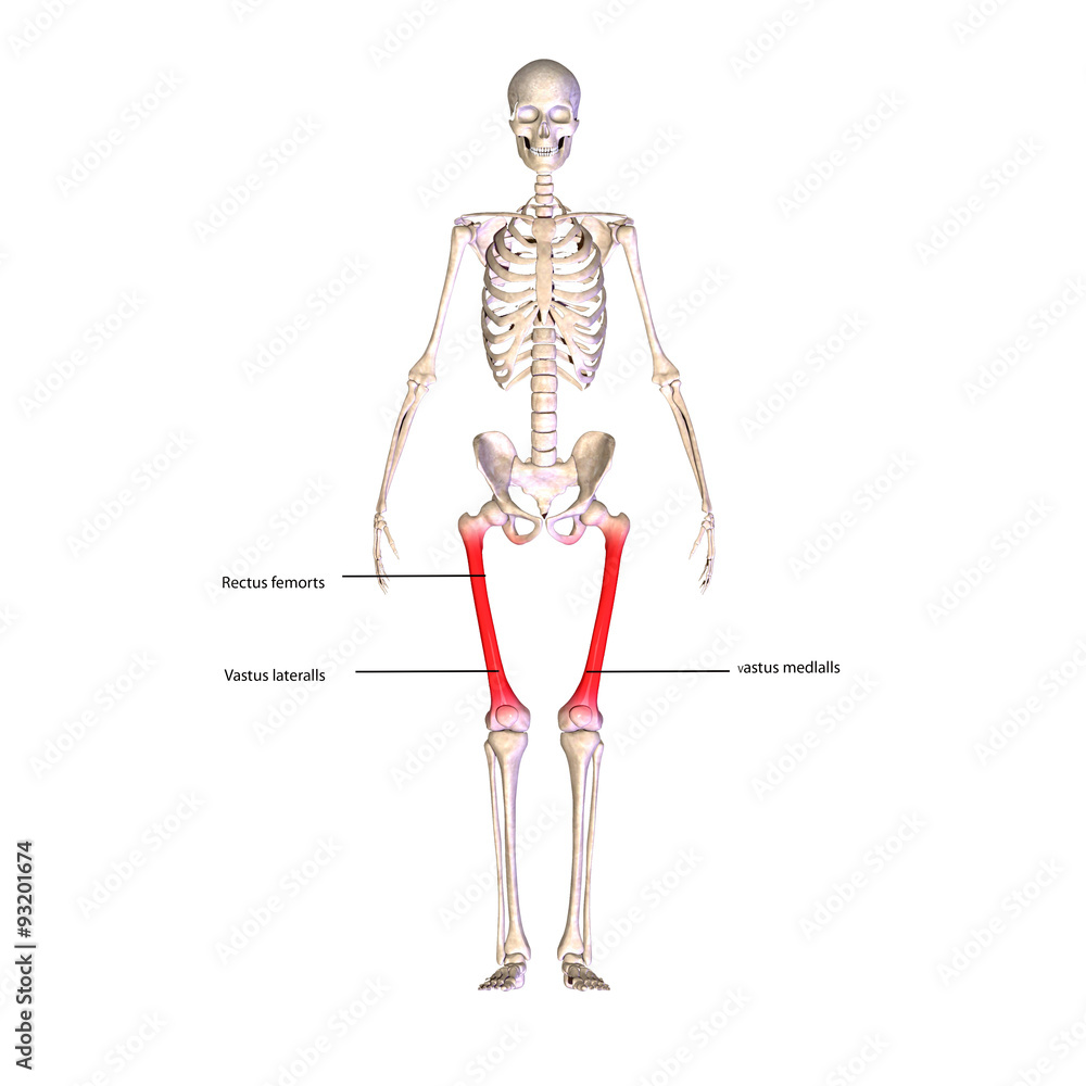 skeleton leg pain