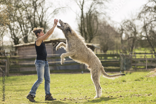 Woman training Irish Wolfhound on a meadow photo