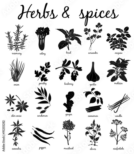 Herbs and Spices set.