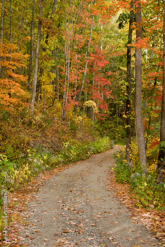 Country Gravel Road