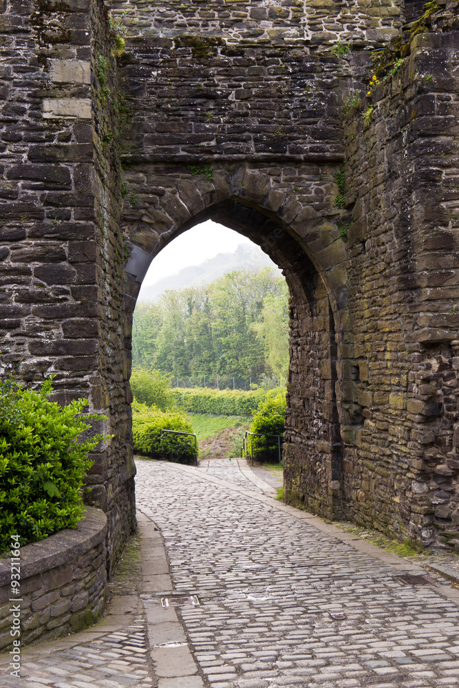 Castle entrance through stone wall
