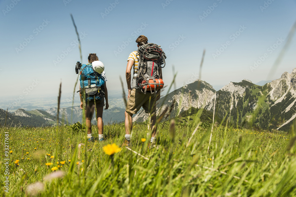 Austria, Tyrol, Tannheimer Tal, young couple standing on alpine meadow looking at view Austria, Tyrol, Tannheimer Tal, young couple standing on alpine meadow looking at view